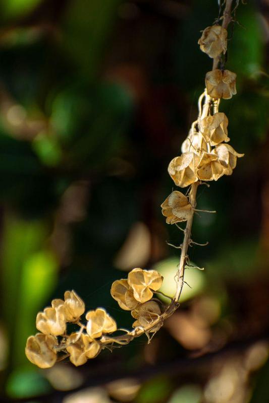 0 Bedroom Property for Sale in Moquini Western Cape